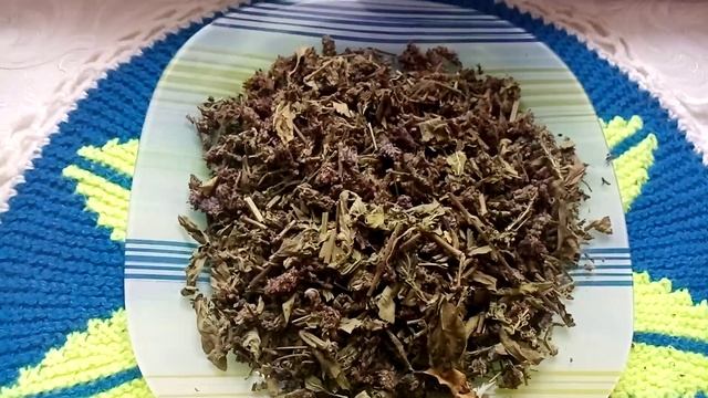 Вероника лекарственная. Лечим сахарный диабет и подагру. смотреть онлайн