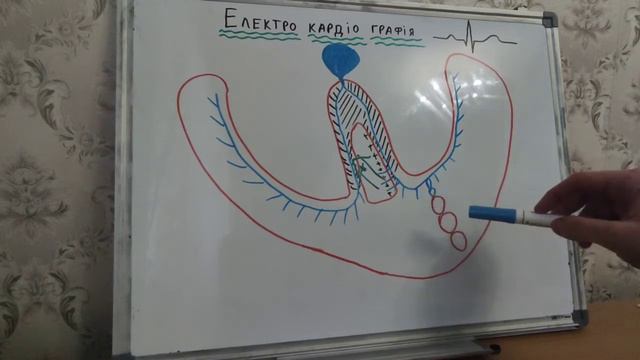 Основи аналізу ЕКГ. Урок 4 смотреть онлайн