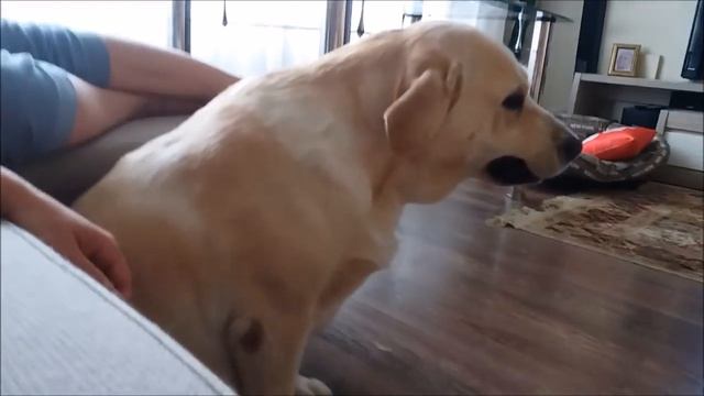 Вредный дядька