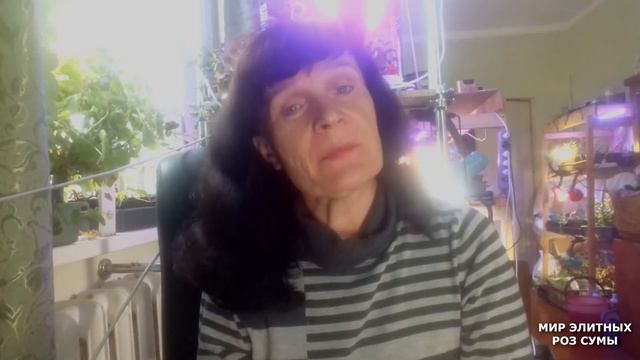 Экоплант. Повышение калия и магния в почве, уменьшения кислотности, урожайности и яркости цветения. смотреть онлайн