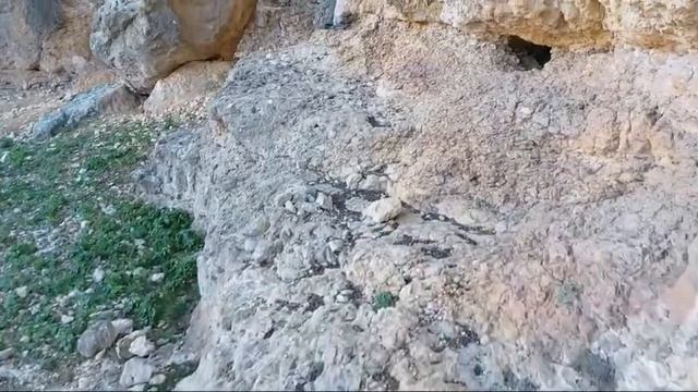 Ищем следы ШАМИРА СОЛОМОНА смотреть онлайн