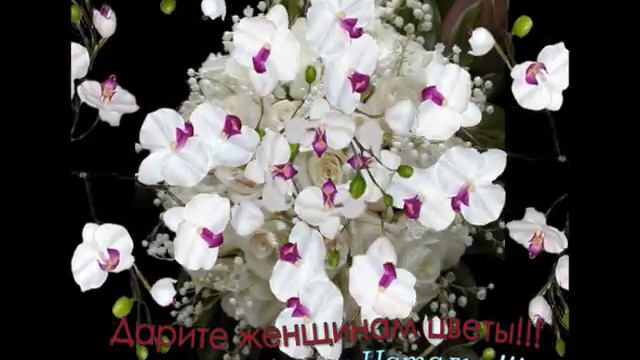 Дарите женщинам цветы! смотреть онлайн
