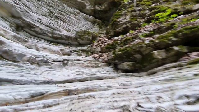 Папай без политики