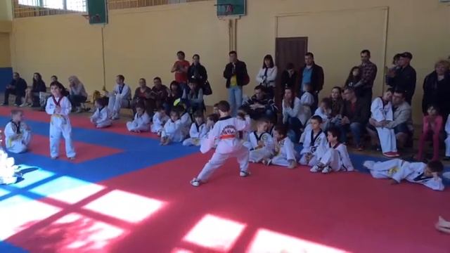Соревнования Тхэквондо апрель 2015 смотреть онлайн