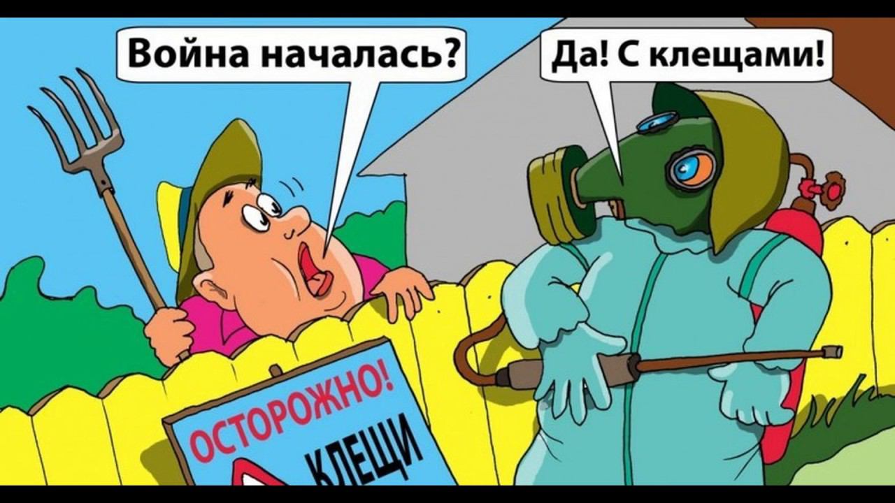 КЛУБНИЧНЫЙ КЛЕЩ .САМЫЙ ЭФФЕКТИВНЫЙ СПОСОБ ЗАЩИТЫ КЛУБНИКИ ОТ КЛУБНИЧНОГО КЛЕЩА смотреть онлайн