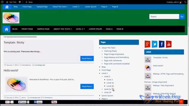 Documentation How to Use Premium WordPress Theme Options смотреть онлайн