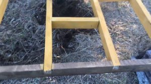 Вольер для двух собак 6х2. Стройка вольера своими руками.