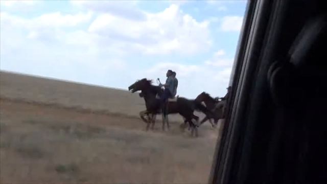 Рысаки дистанция 4800,первый забег смотреть онлайн