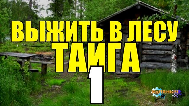 0801 - СУДЬБА ЧЕЛОВЕКА _ ВЫЖИТЬ В ТАЙГЕ _ ОТШЕЛЬНИКИ В ЗИМОВЬЕ _ ПОХОД В ЛЕС 1 из 2.mp4 смотреть онлайн