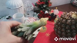 Как вырастить ананас дома! Моему ананасу, уже год.