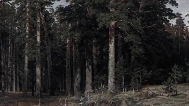 B E A U T Y - dir. Rino Stefano Tagliafierro смотреть онлайн