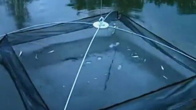 Малявочница смотреть онлайн