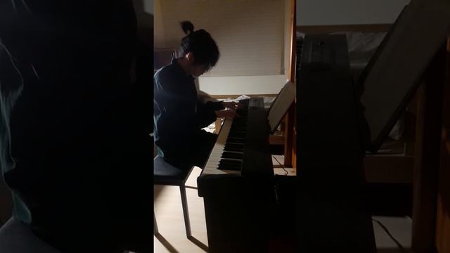 Debussy - La fille aux cheveux de lin (piano cover) смотреть онлайн