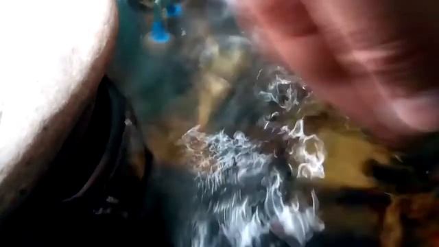 содержание аквариумных крабов смотреть онлайн