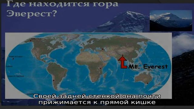 Где находится предстательная железа и как функционирует? смотреть онлайн