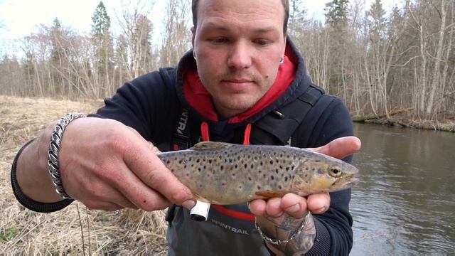 Попал на клёв форели. Рыбалка в Ленинградской области. смотреть онлайн