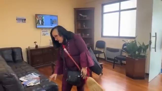 Ministerio de Educación🔥🎙️MARIA GALINDO🎙️🔥Basta de educación superior fraudulenta #radiodocumental смотреть онлайн