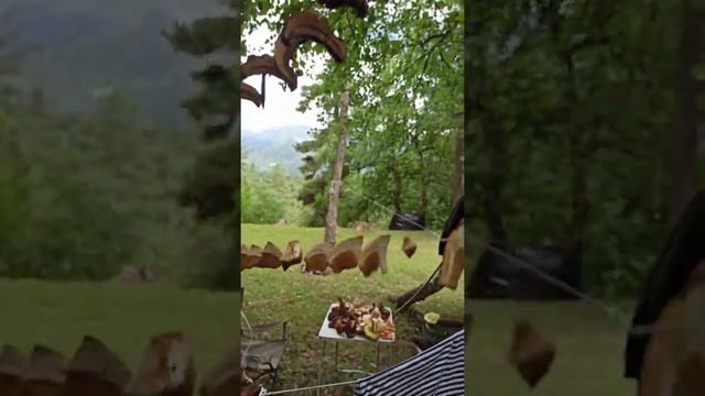 Архыз грибы/Архызские приключения/Горы/Грибанутые/Первый раз за грибами в горах смотреть онлайн