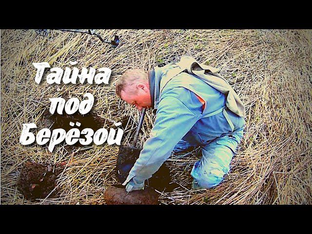 Тайна под берёзой/Копаем на Петровской деревне/Горшечных дел мастер смотреть онлайн