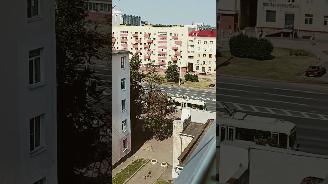 respect 2508241356 #asmr #dog #pets #funny #travel смотреть онлайн