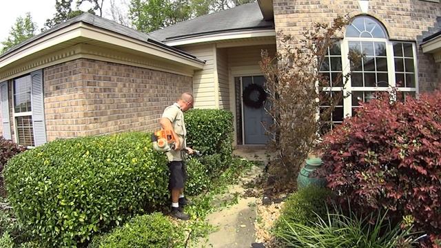 Cutting Grass - Trimming Overgrown Bushes / Shrubs With Stihl Hedge Trimmer #SideHustle