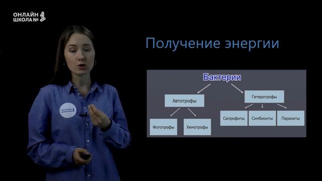 Бактерии. Роль бактерий в природе и жизни человека. Бактерии – возбудители заболеваний. Биология ОГ