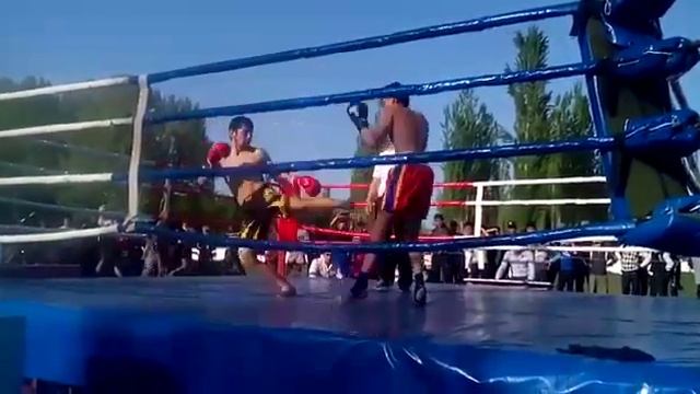 Чемпион по кик боксу смотреть онлайн