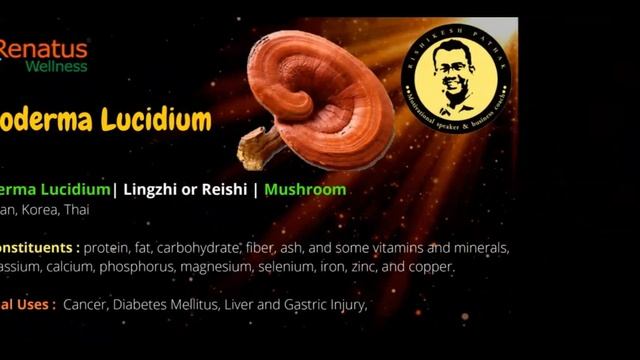 RENATUS WELLNESS PRODUCT DETAILS AND BUSINESS PLAN HINDI New direct selling MLM company india480P смотреть онлайн