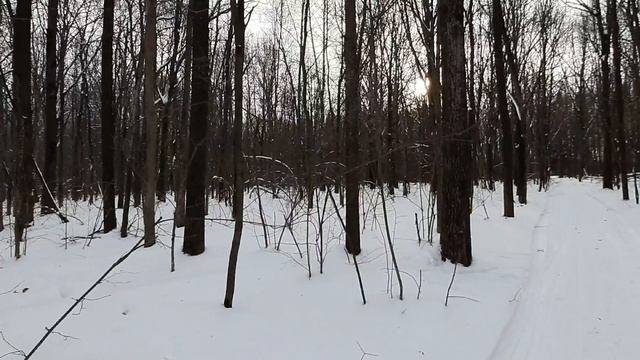 180123.mp4 смотреть онлайн