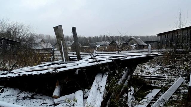Про дешёвые понты/ Пилю хлам на дрова/ Цыганский Stihl MS 362/ Отношение зрителя к блогеру смотреть онлайн