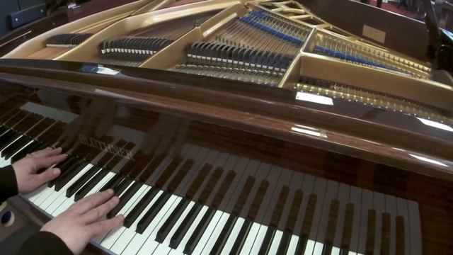 Improvisation sur un piano à queue Blüthner Modèle 10 смотреть онлайн