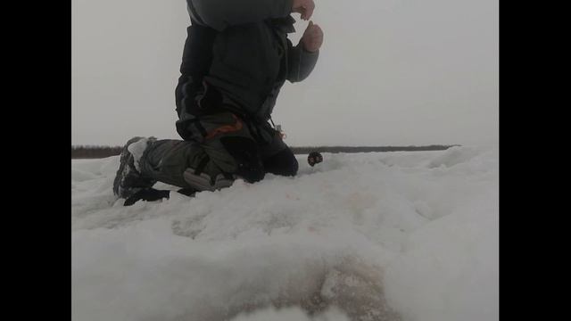 река Иртыш, январь 2021г. смотреть онлайн