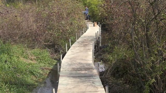 Plant a Tree, Save the Planet смотреть онлайн