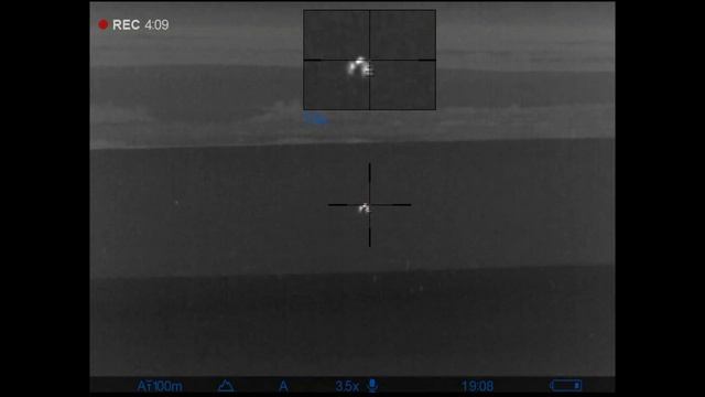 Ночная охота на волка с CZ-527, тепловизионный прицел Pulsar. Пришла пара. смотреть онлайн
