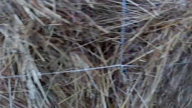 Баннеры или плёнка? Что применить для укрытия сена? смотреть онлайн