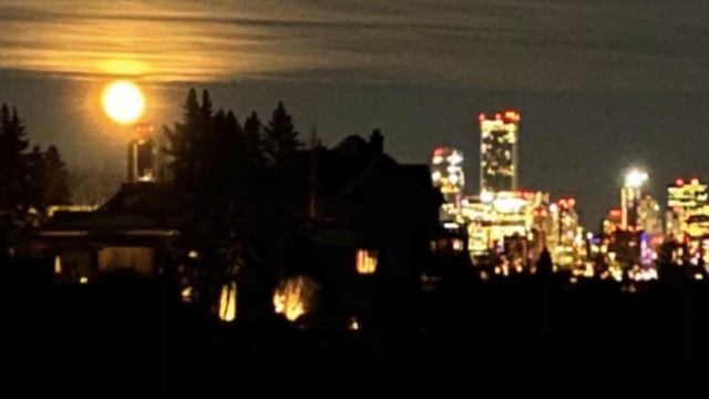 Pecha Kucha: Winter's Can Opener смотреть онлайн