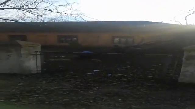Рубят деревья в "Антарктике" смотреть онлайн