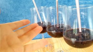 День Когда Родился Желейный Медведь Макс