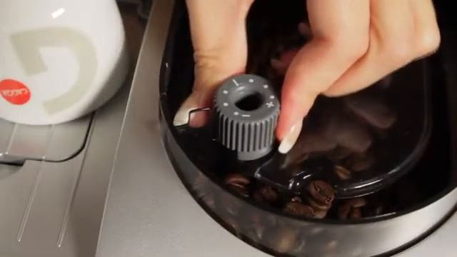 GAGGIA SYNCRONY смотреть онлайн