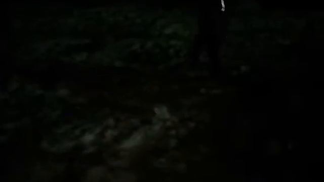 Мой сын делает шалаш из дерева смотреть онлайн