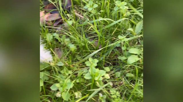 5 декабря 2022 г. смотреть онлайн