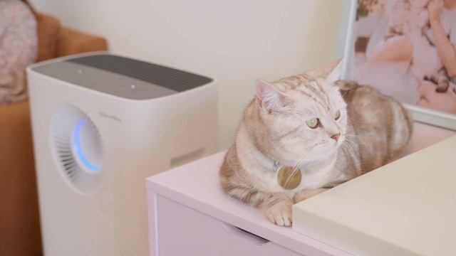 Review Máy lọc không khí Coway AP-1516D sau 2 tháng: giúp tăng khả năng phòng ngừa dịch bệnh? смотреть онлайн