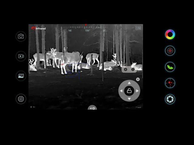 ✔️ НОЧНАЯ ЖИЗНЬ ТАЕЖНОГО ОЛЕНЯ. СНЯТО ТЕПЛОВИЗОРОМ XINFRARED T2PRO смотреть онлайн