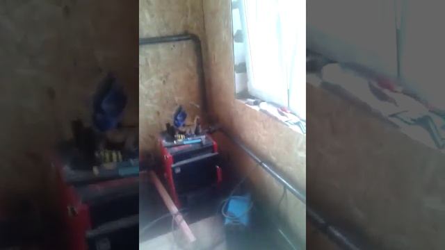 ПОМИДОРЫ ИРИШКА Ф 1 смотреть онлайн