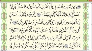 Шейх Айман Сувейд сура Ан Нахль стр 274