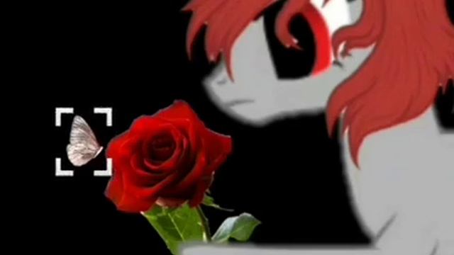 Пони клип Самба белого мотылька смотреть онлайн