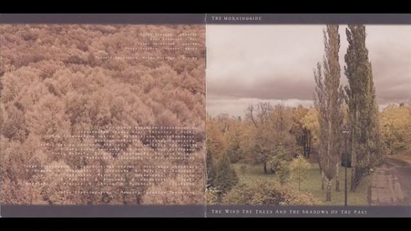 The Morningside - The Wind the Trees and the Shadows of the Past