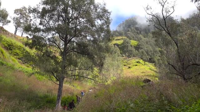 LOMBOK GUIDE - 5 Things to do in LOMBOK, INDONESIA!?? смотреть онлайн