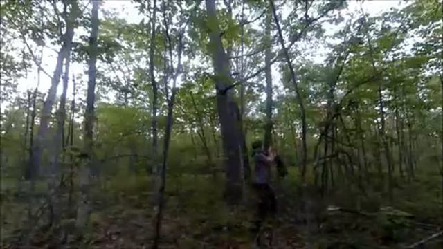 Exploring Camping And Hiking The Mountains Of Pennsylvania