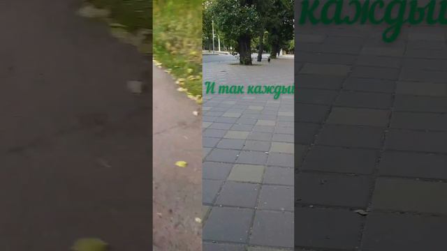Вот так я бегу навстречу к тем, кто меня любит смотреть онлайн